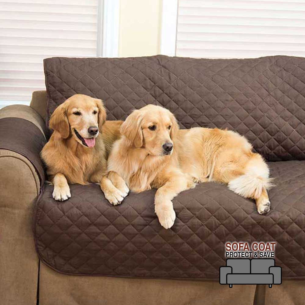 Sofa coat hotsell